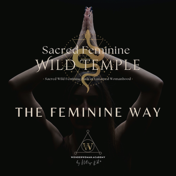 SFWT logo + music cover - 3